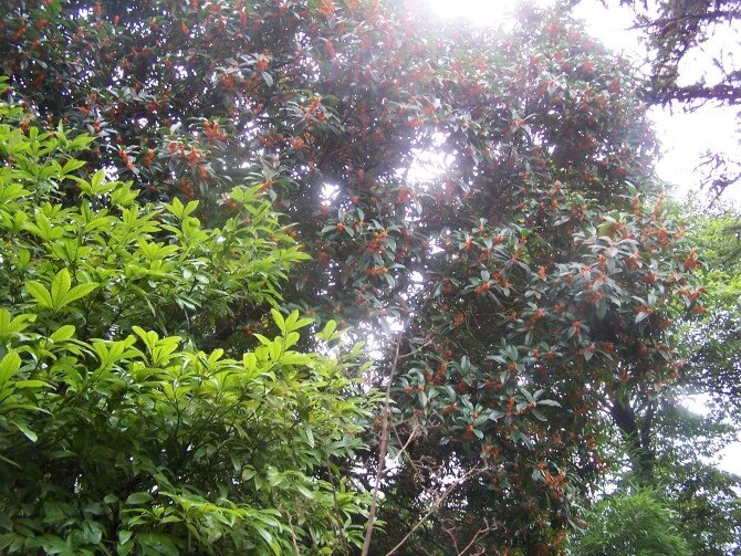 点击跳到下一张 照片 041=